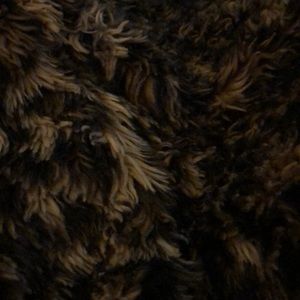 Meet your Posher, Stacy